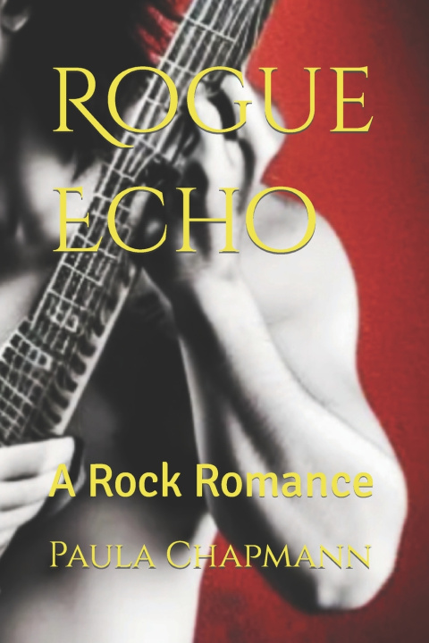 Kniha Rogue Echo Paula Chapmann