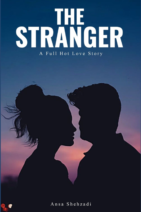 Knjiga The Stranger Ansa Shehzadi