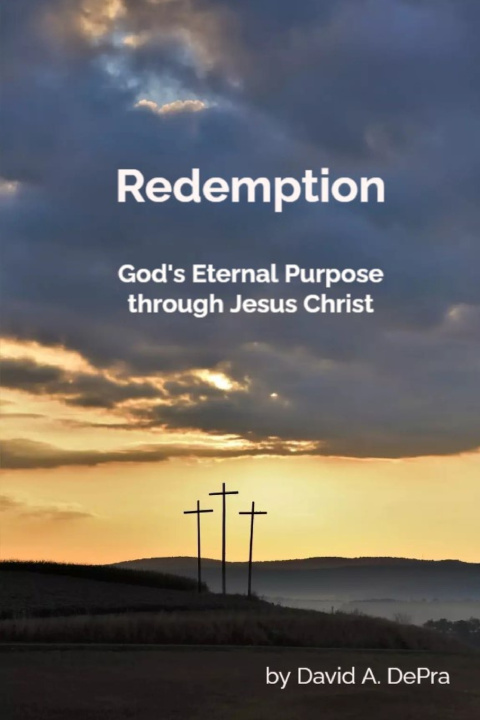 Kniha Redemption David DePra