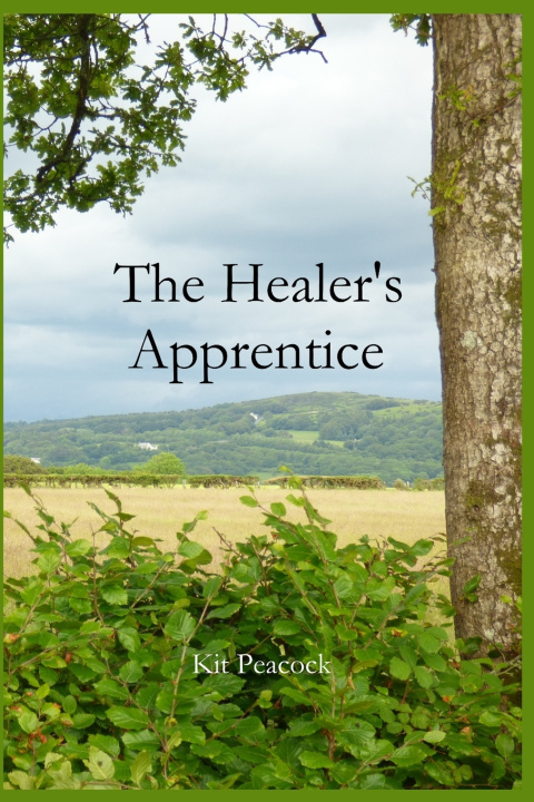 Kniha The Healer's Apprentice Kit Peacock