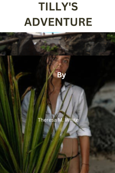 Kniha Tilly's Adventure Theresa M. White
