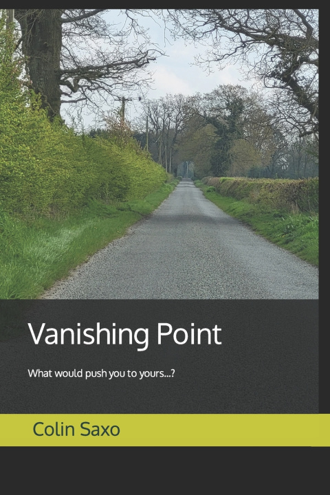 Kniha Vanishing Point Colin Saxo
