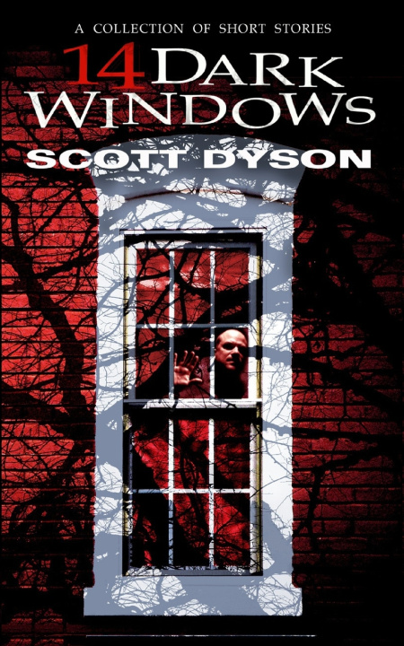 Knjiga 14 Dark Windows Scott Dyson