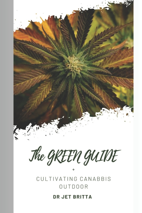 Kniha The Green Guide Jet Britta