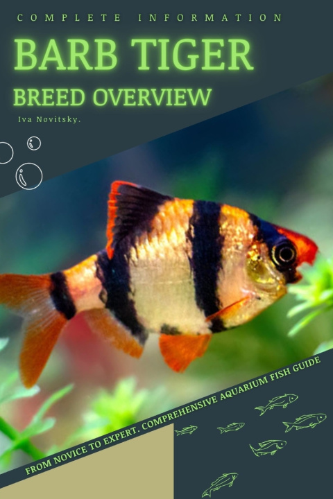 Kniha Barb Tiger Iva Novitsky