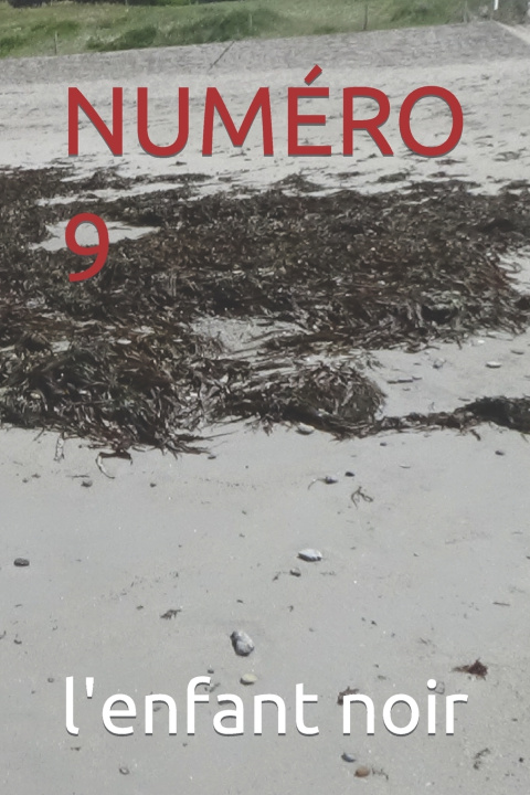 Kniha NUMÉRO 9 l'enfant noir
