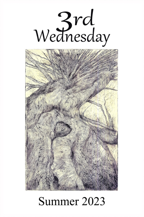 Book 3rd Wednesday David Jibson