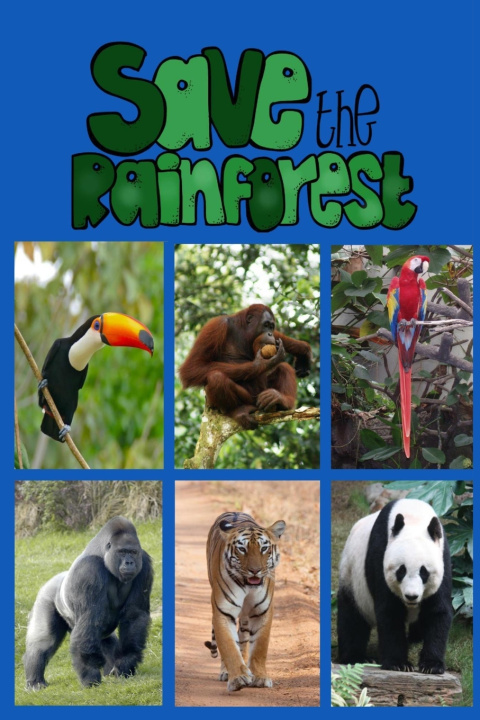 Kniha Save the Rainforest Rich Linville