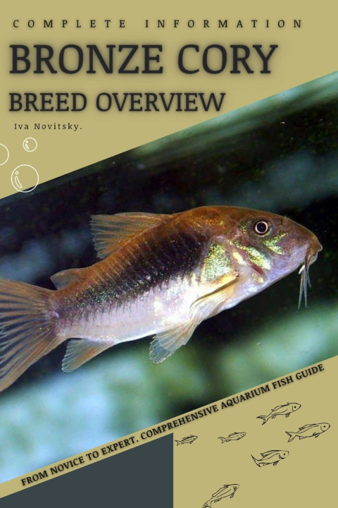 Knjiga Bronze Cory Iva Novitsky