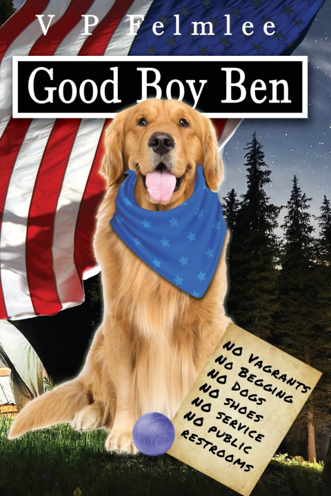 Kniha Good Boy Ben V P Felmlee