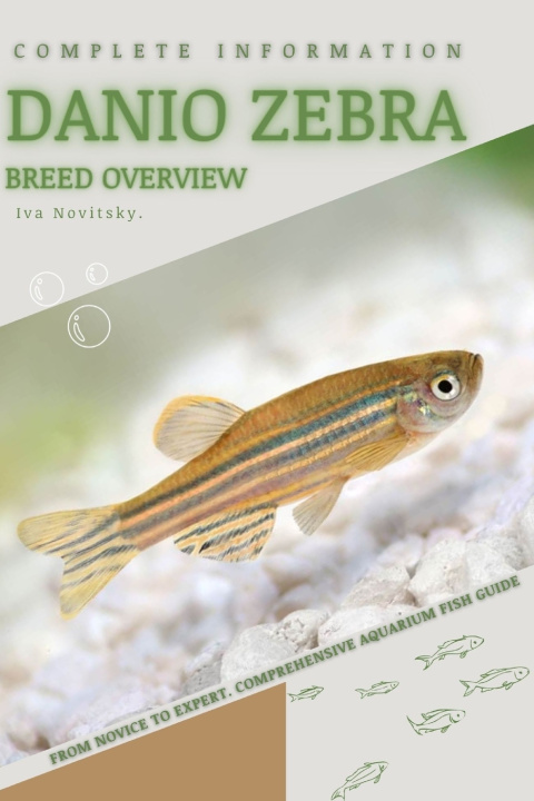 Knjiga Danio Zebra Iva Novitsky