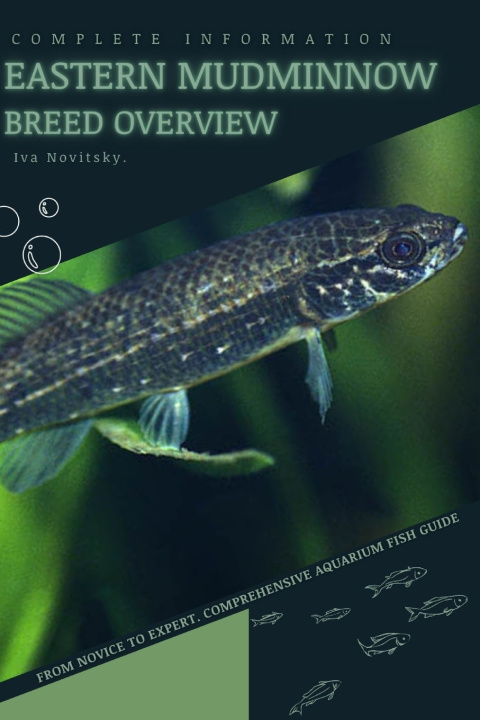 Kniha Eastern Mudminnow Iva Novitsky