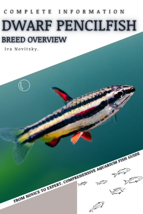 Knjiga Dwarf Pencilfish Iva Novitsky