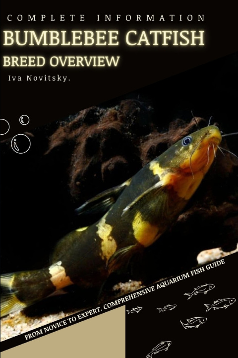 Kniha bumblebee catfish Iva Novitsky