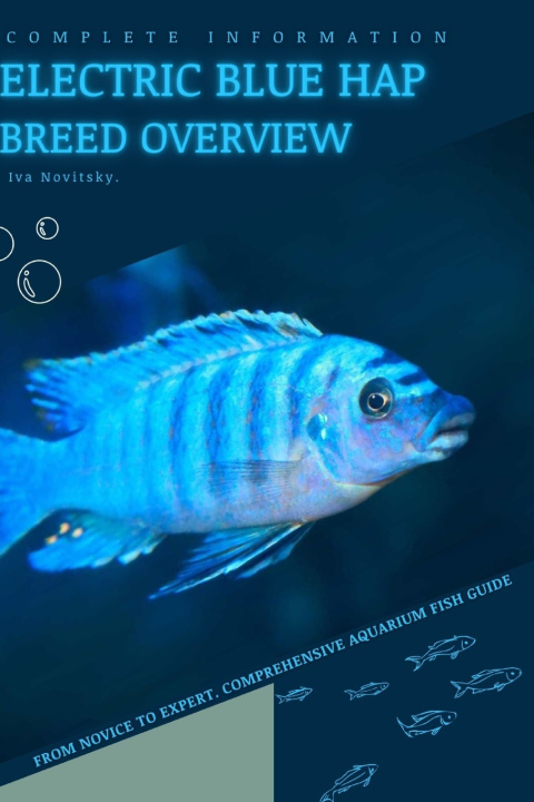 Kniha Electric Blue Hap Iva Novitsky
