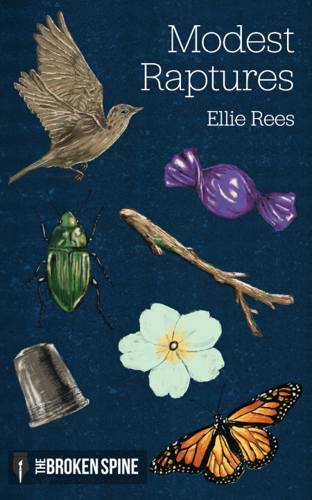 Book Modest Raptures Ellie Rees