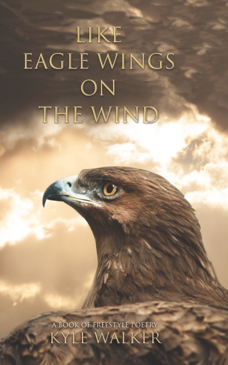 Kniha Like Eagle Wings On The Wind Kyle Walker