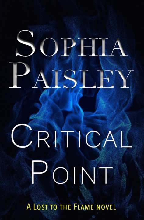 Kniha Critical Point Nicolette Pierce
