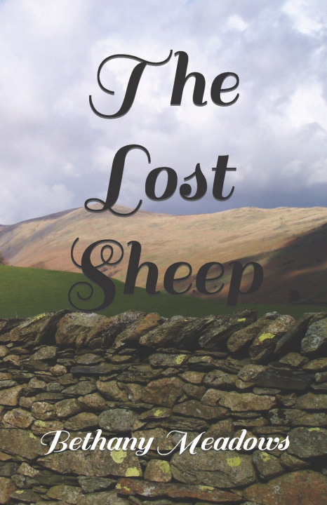 Kniha The Lost Sheep Bethany Meadows
