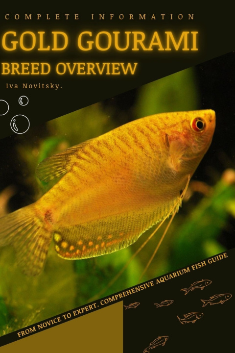 Knjiga Gold Gourami Iva Novitsky
