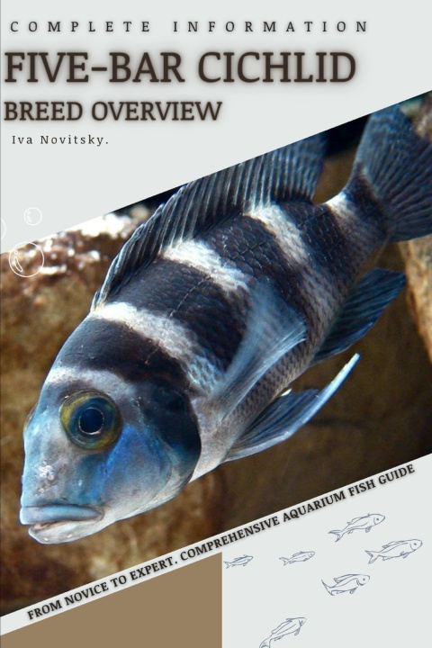 Kniha Five-bar Cichlid Iva Novitsky