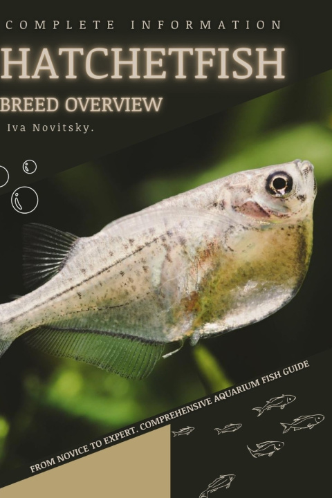 Kniha Hatchetfish Iva Novitsky