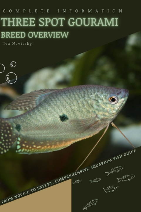 Kniha Three Spot Gourami Iva Novitsky