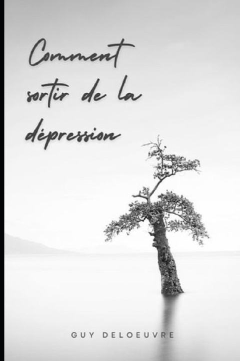 Kniha COMMENT SORTIR DE LA DÉPRESSION Deloeuvre Guy