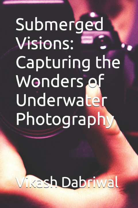 Kniha Submerged Visions Vikash Dabriwal