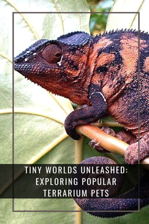 Knjiga Tiny Worlds Unleashed Aria Waters