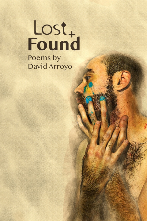 Knjiga Lost + Found David Arroyo
