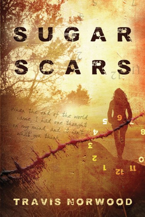 Kniha Sugar Scars Travis Norwood