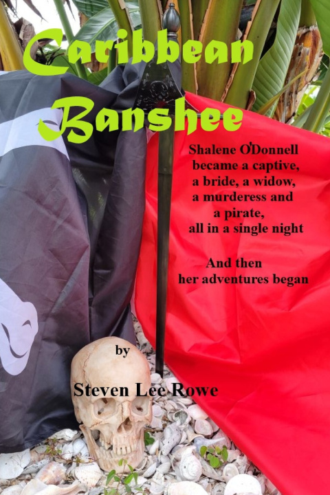 Kniha Caribbean Banshee Steven Lee Rowe