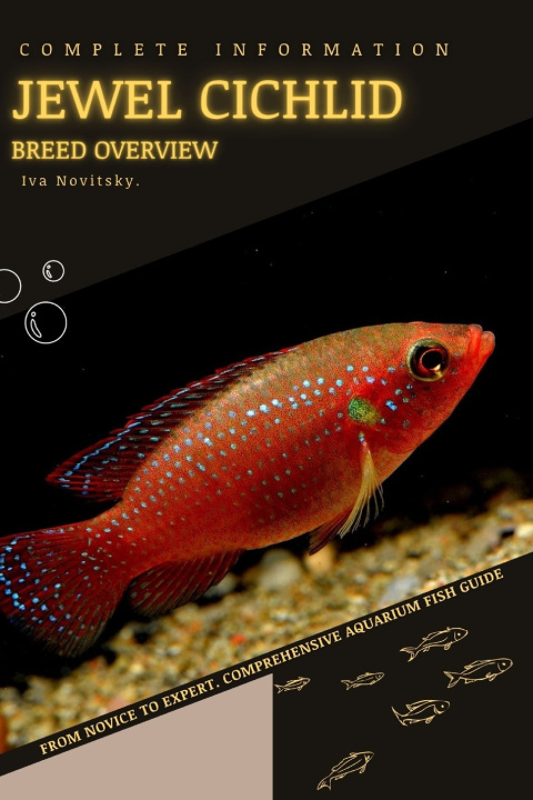Knjiga Jewel Cichlid Iva Novitsky