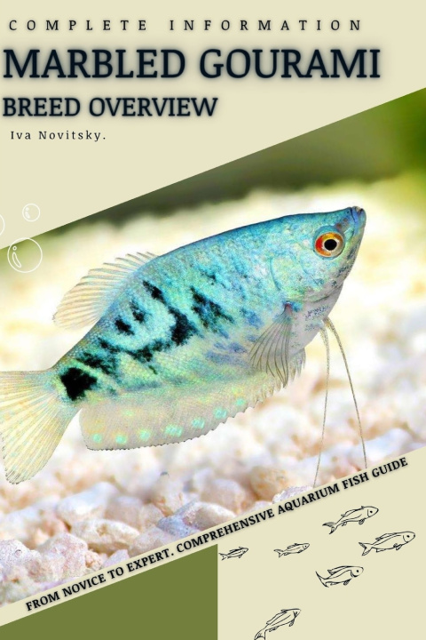 Kniha Marbled Gourami Iva Novitsky