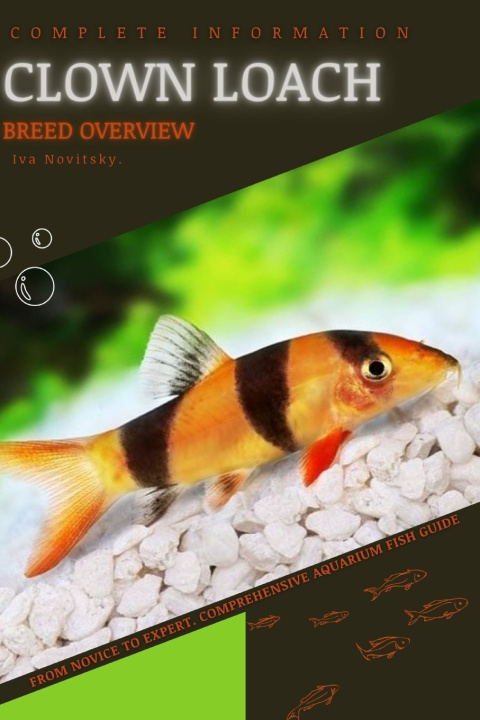 Knjiga Clown Loach Iva Novitsky