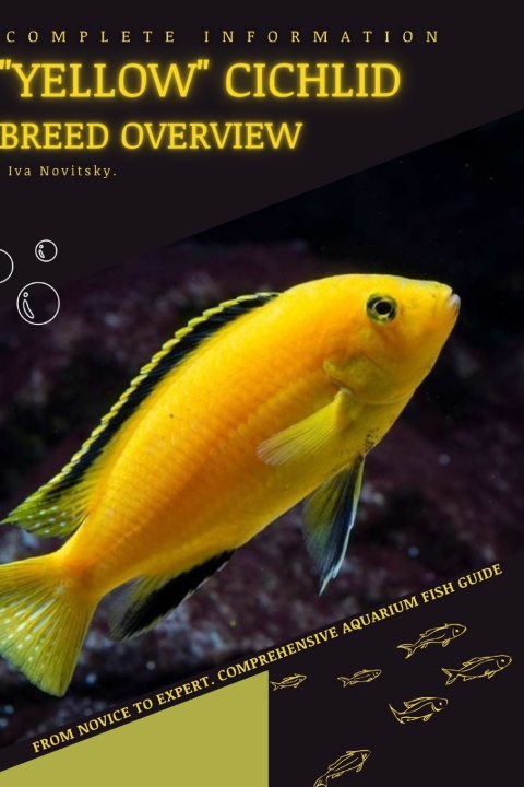 Kniha "Yellow" Cichlid Iva Novitsky