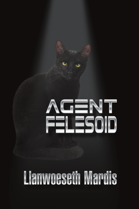 Kniha Agent Felesoid Llanwoeseth Mardis