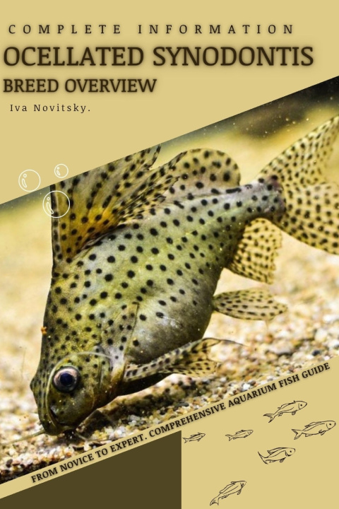 Kniha Ocellated Synodontis Iva Novitsky