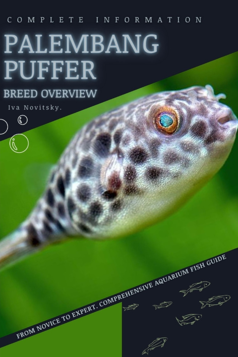 Knjiga Palembang Puffer Iva Novitsky