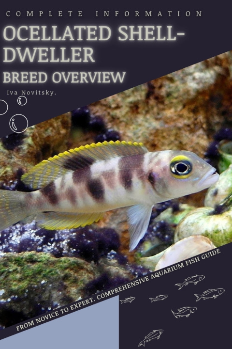 Kniha Ocellated Shell-Dweller Iva Novitsky