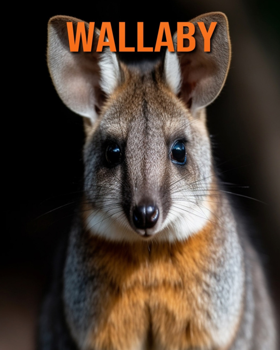 Kniha Wallaby Flora Lawrence