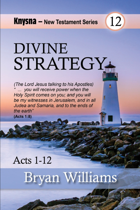 Kniha Divine Strategy Bryan Williams