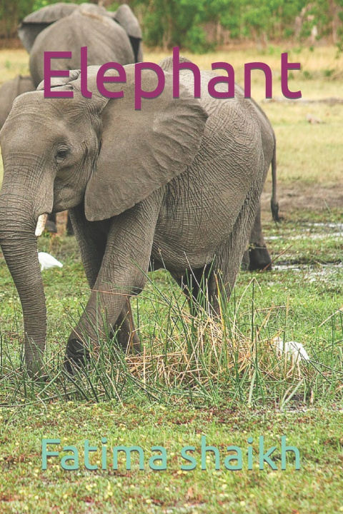 Kniha Elephant Fatima khatoon shaikh