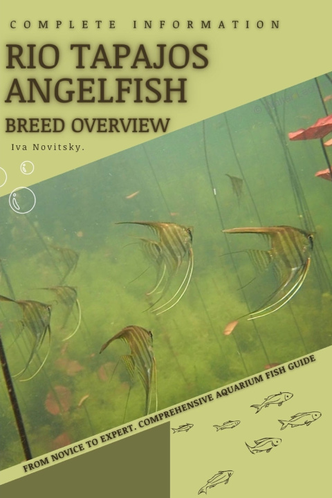 Kniha Rio Tapajos Angelfish Iva Novitsky