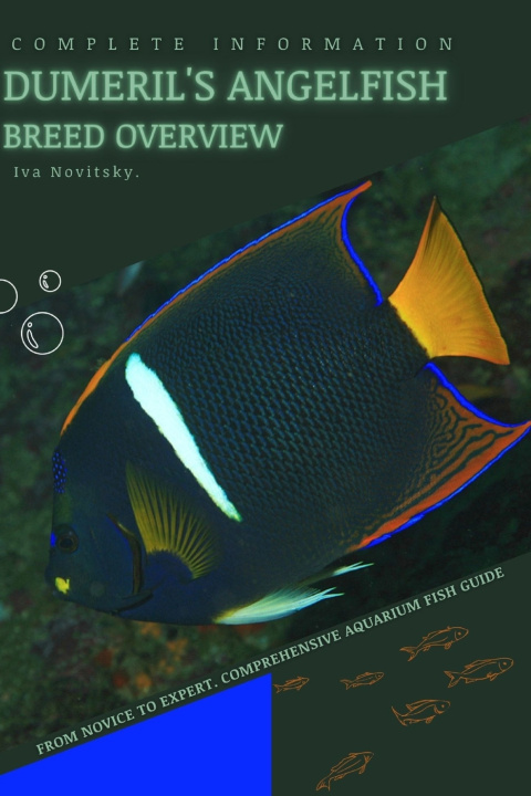 Kniha Dumeril's Angelfish Iva Novitsky