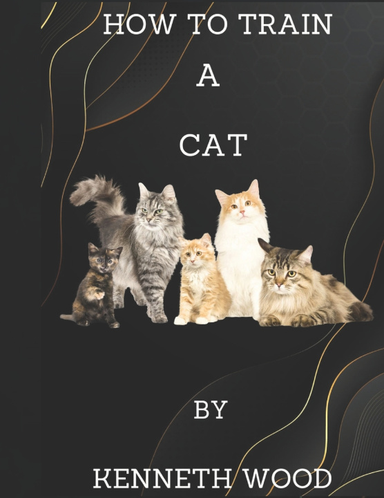 Kniha How to train a cat Kenneth Wood