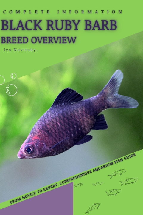 Knjiga Black Ruby Barb Iva Novitsky
