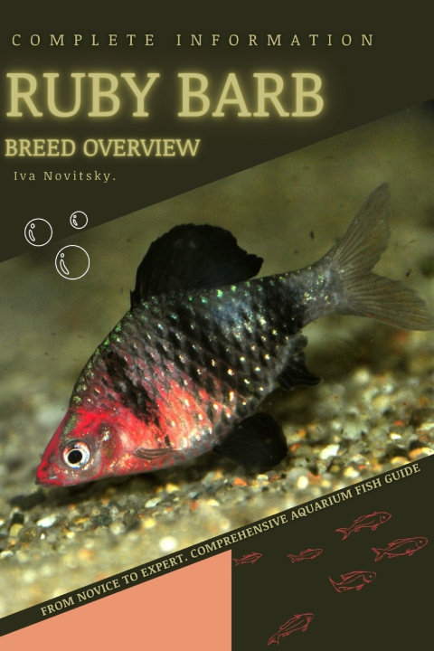 Kniha Ruby Barb Iva Novitsky