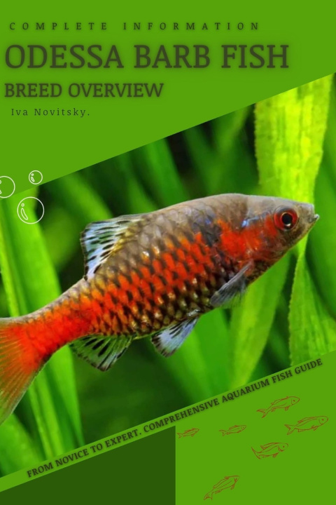 Kniha Odessa Barb Fish Iva Novitsky